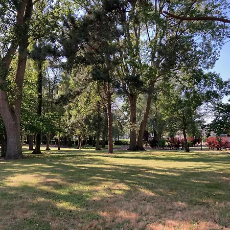 Dahlia 107 - Zonnig En Volledig Uitgerust